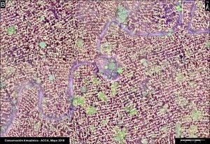 B. Drone image- Deforestation from agriculture (corn)