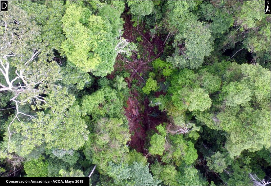 D. Drone image- illegal logging.