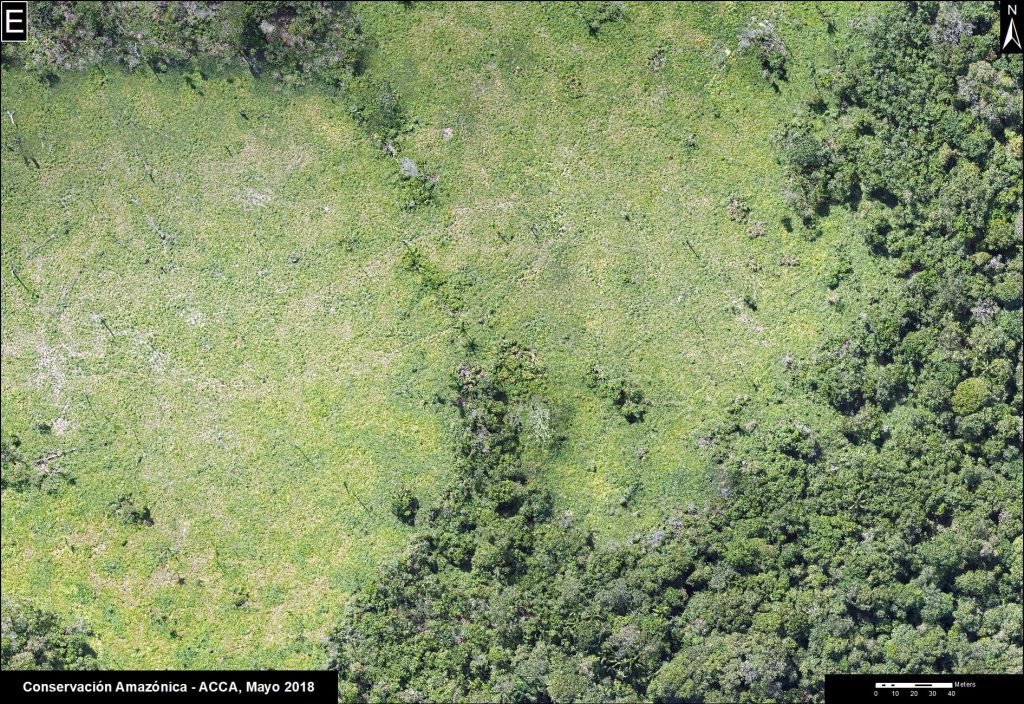 E. Drone image- cattle pasture.