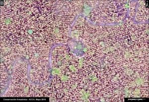 B. Drone image- Deforestation from agriculture (corn)