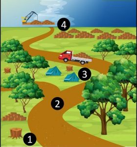 Base Map. Logging Activities. Source: ACCA/ACA.