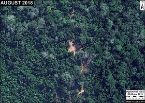 Image 1: Selective logging in a forestry area (Ucayali). Data: DigitalGlobe