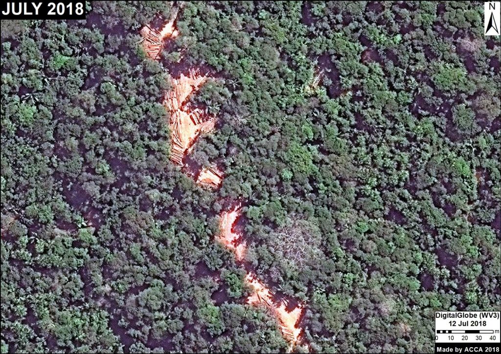 Image 2: Selective logging in a forestry area (Ucayali). Data: DigitalGlobe