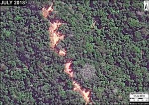 Image 2: Selective logging in a forestry area (Ucayali). Data: DigitalGlobe