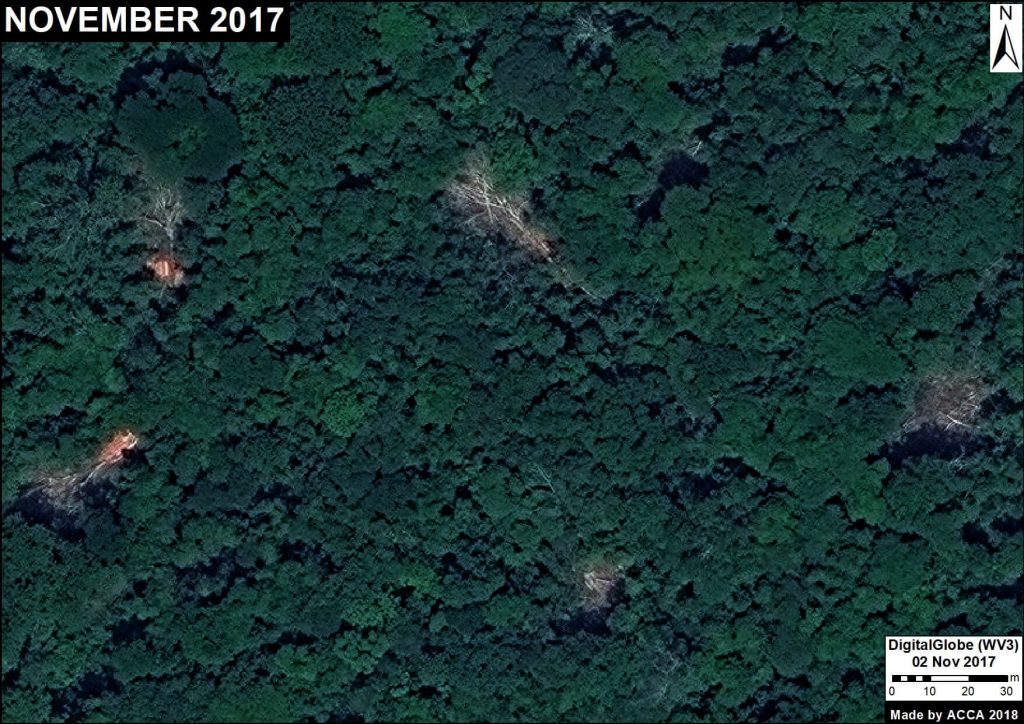 Image 4: Confirmed illegal logging in unauthorized area. Data: DigitalGlobe