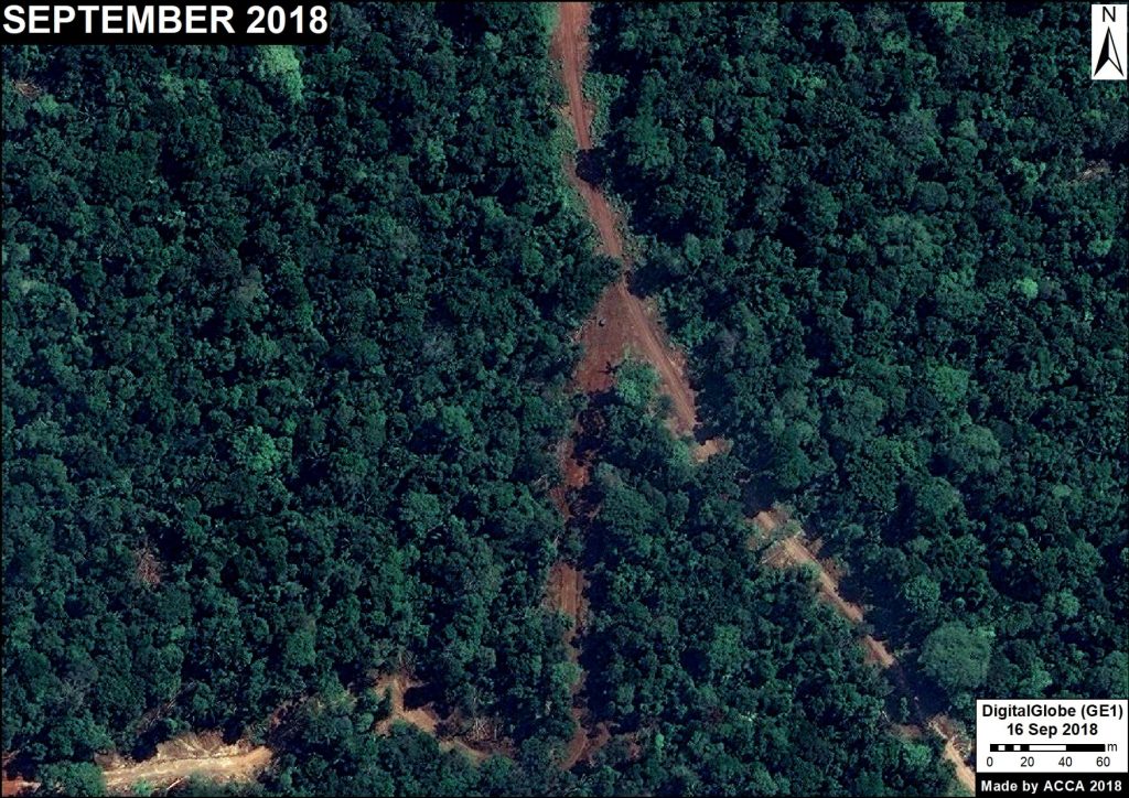 Image 5. Logging road (Loreto). Data: DigitalGlobe