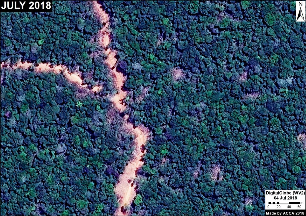 Image 6. Logging road (Ucayali). Data: DigitalGlobe