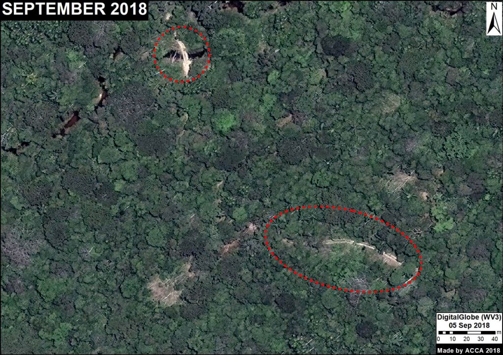 Image 8. Illegal logging path. Data: DigitalGlobe