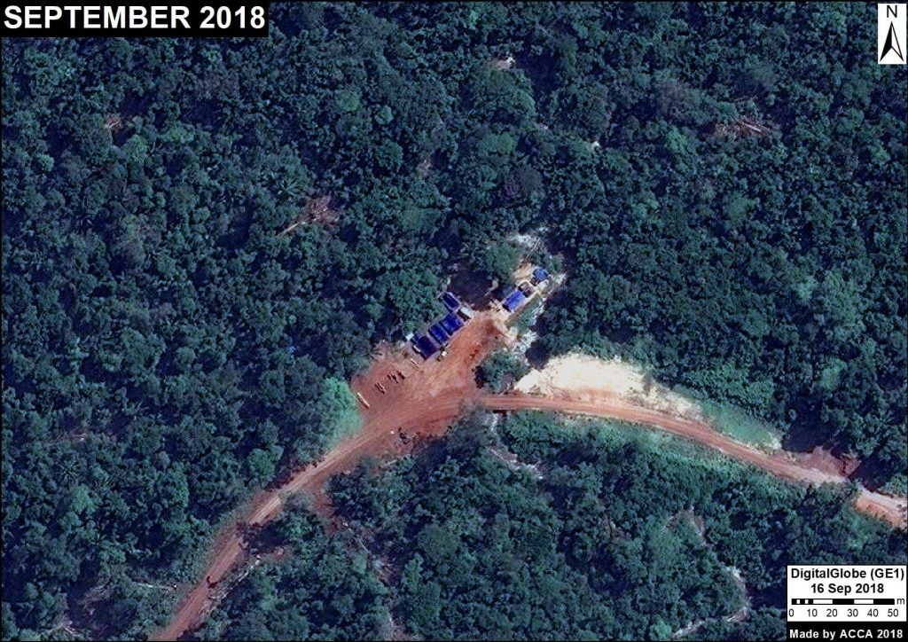 Image 9. Logging camp in forestry area (Loreto). Data: DigitalGlobe.