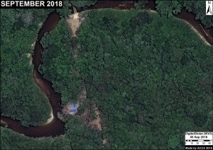 Image 11. Illegal logging camp in unauthorized area. Data: DigitalGlobe