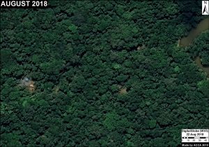 Image 12. Illegal logging camp in unauthorized area. Data: DigitalGlobe