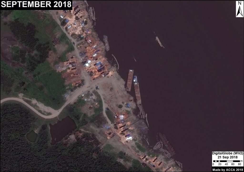 Image 14. Timber storage area. Data: DigitalGlobe.