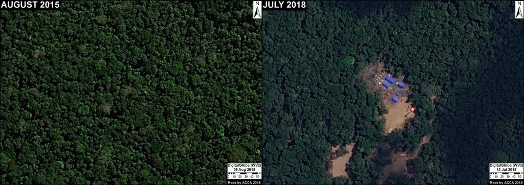 Image 10. Logging camp in forestry area (Ucayali). Data: DigitalGlobe.