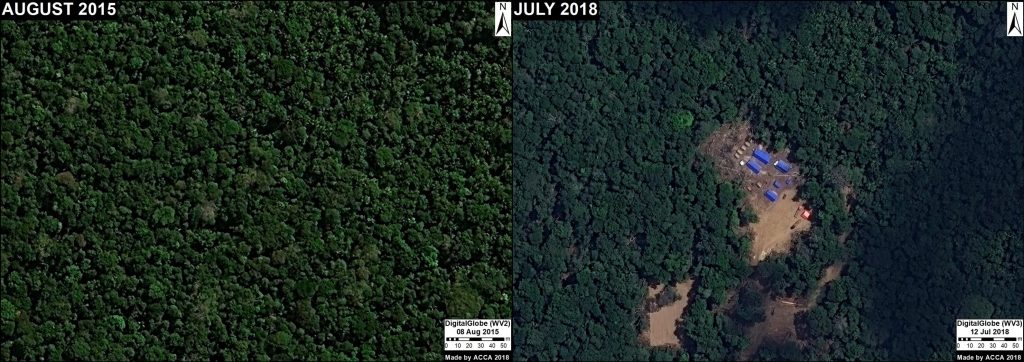 Image 10. Logging camp in forestry area (Ucayali). Data: DigitalGlobe.