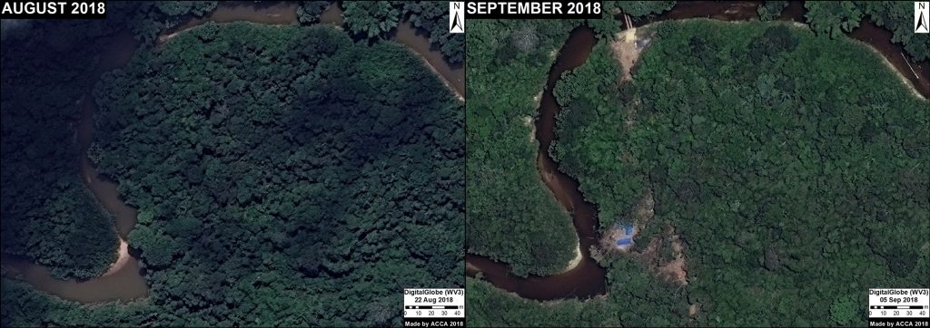 Image 11. Illegal logging camp in unauthorized area. Data: DigitalGlobe