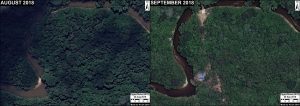 Image 11. Illegal logging camp in unauthorized area. Data: DigitalGlobe