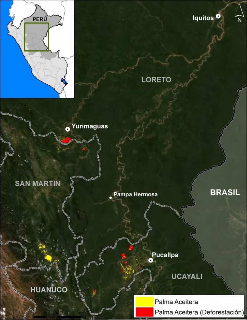 Baseline Map. Oil palm in Peruvian Amazon. Data: MAAP, Vijay et al 2018, Planet