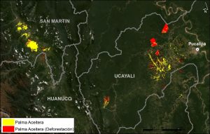 Image 1. Oil palm in central Peruvian Amazon. Data: MAAP, Vijay et al 2018, Planet