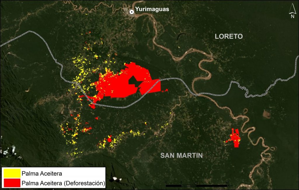 Image 2. Oil palm in northern Peruvian Amazon. Data: MAAP, Vijay et al 2018, Planet