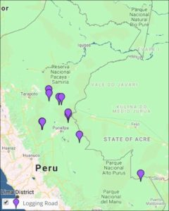 Image 7: Interactive Map, logging roads. Data: MAAP.