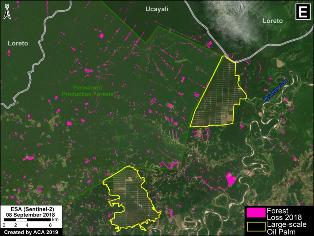 Zoom E. Central Amazon. Data- PNCB:MINAM, SERNANP, ESA