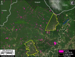 Zoom E. Central Amazon. Data- PNCB:MINAM, SERNANP, ESA