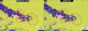 Zoom A1. Eastern front of the gold mining deforestation in La Pampa. Data- ESA, MAAP