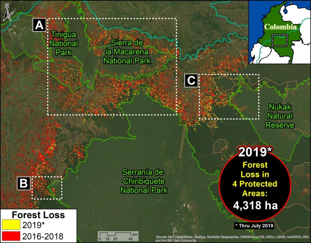 Protected Areas Zoom Map. Deforestation in four protected areas of the Colobian Amazon. Data- UMD:GLAD, Hansen:UMD:Google:USGS:NASA, RUNAP, RAISG