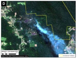 Zoom D. Fire in southern Peruvian Amazon (near Iberia, Madre de Dios). Data- ESA