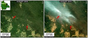 Zoom B. Recent fires in the dry Chiquitano of southern Bolivia. Data- Planet.