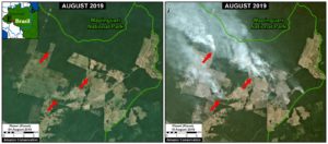 Zoom E. Fires at the agriculture-forest boundary outside a national park in Amazonas state. Data- Planet