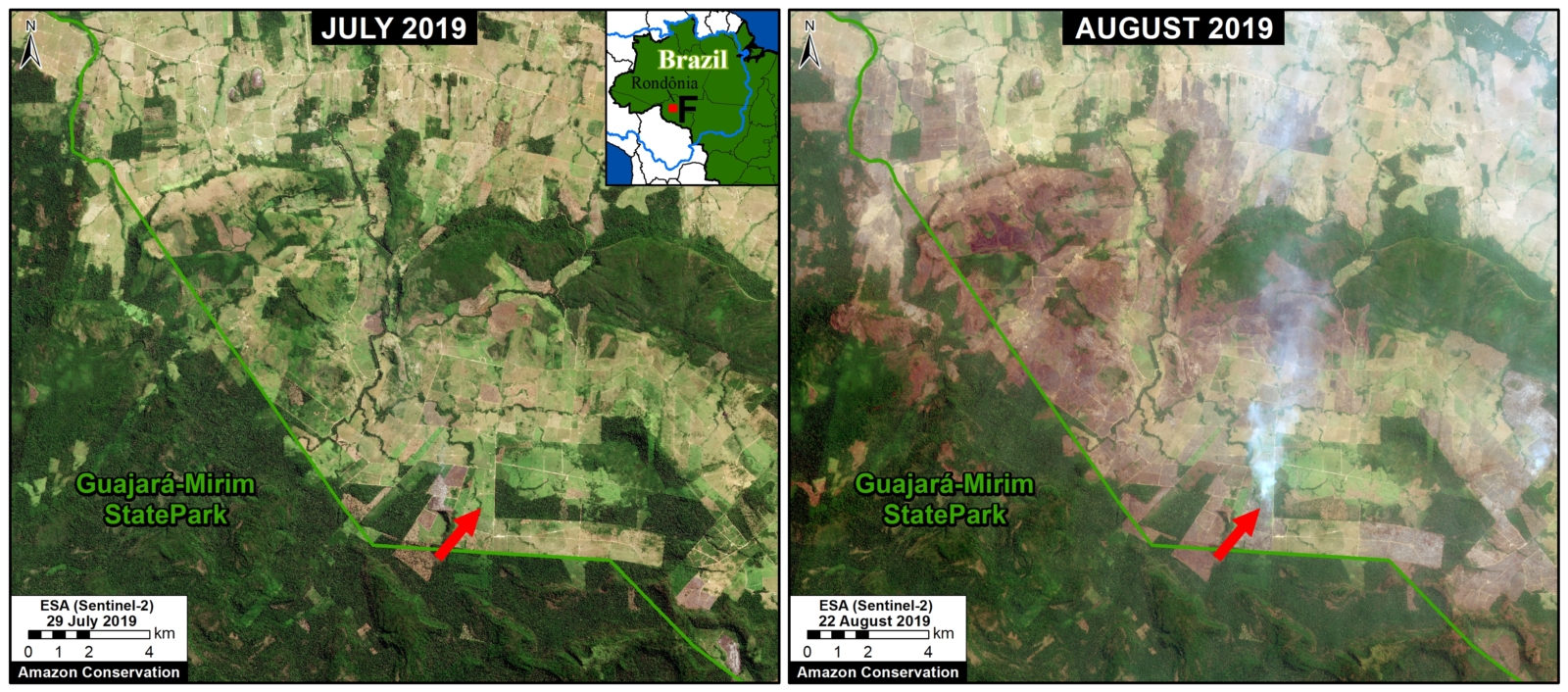 Zoom F. Fires at the agriculture-forest boundary in Rondônia state. Data- ESA