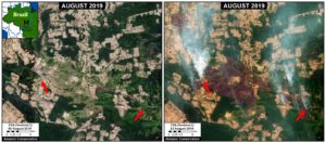 Zoom H. Fires at the agriculture-forest boundary in Mato Grosso. Data- ESA