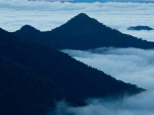 Wayqecha Cloud Forest Station, Peru