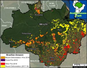 satellites-reveal-what-fueled-brazilian-amazon-fires-BrazilianAmazon-Fires