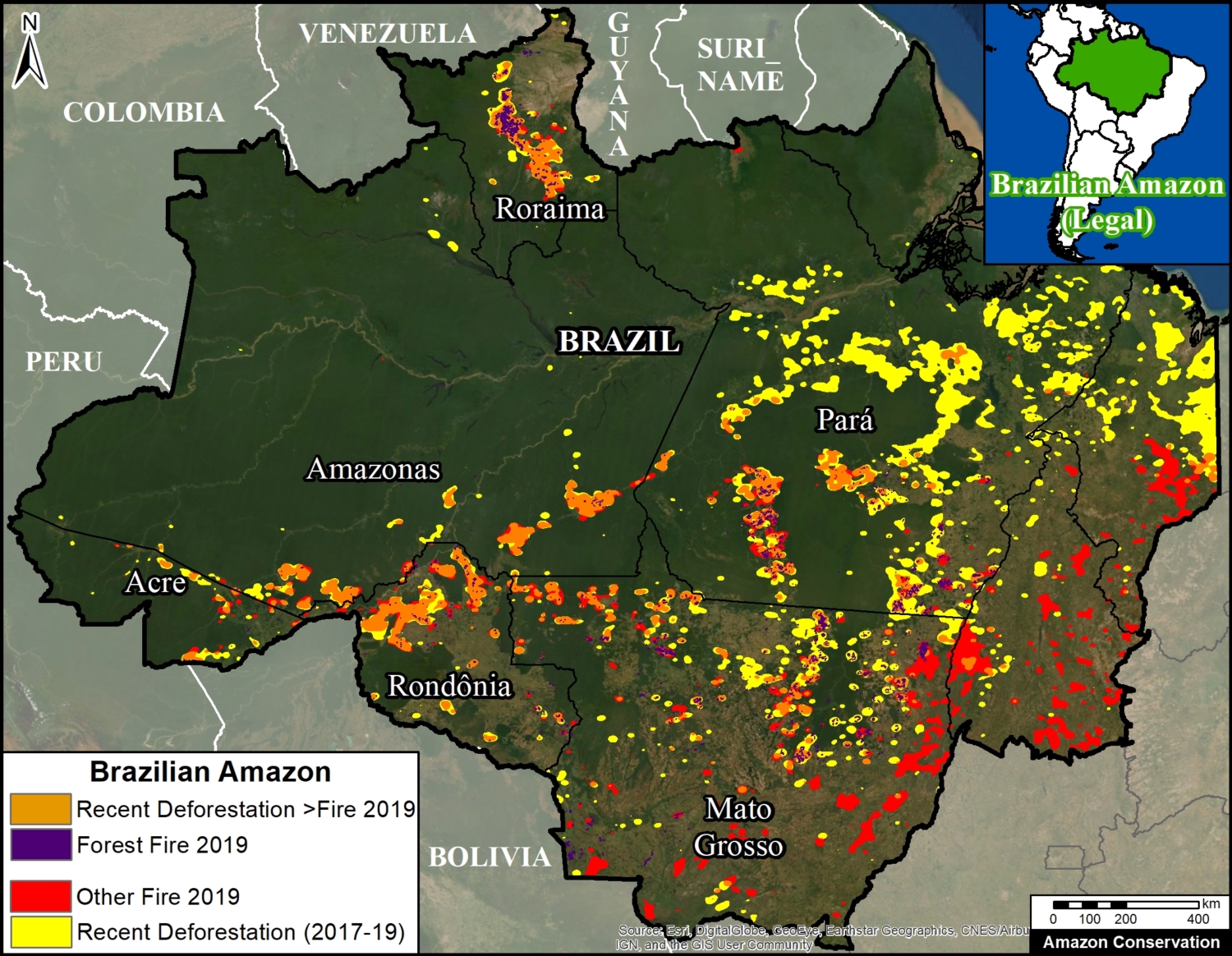 Maaproject.org Maap 113 Satellites Reveal What Fueled Brazilian Amazon Fires BrazilianAmazon V3 Fires2019 PrimarySecundaryForestLoss Eng 200dpi 1500x1164 1 