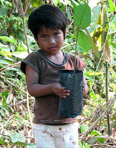 Child holding plant Newsletter photo