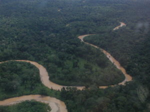 Aerial View Manu Madidi Biodiversity Corridor