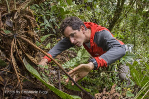 ACA researcher concerned about dramatic decline in rainforest frogs