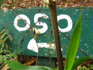 Oso bear sign