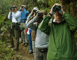 Birdwatchers