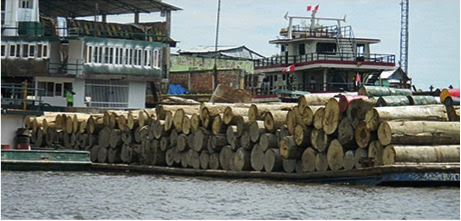 Illegal logging - Amazon Conservation Association