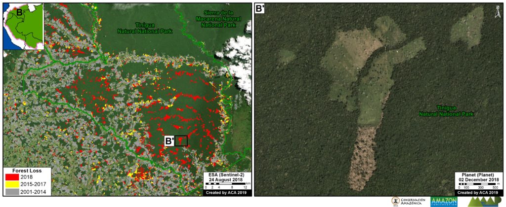 Zoom B. Colombia – Tinigua. Data: Hansen/UMD/Google/USGS/NASA, SINAP, Planet, ESA