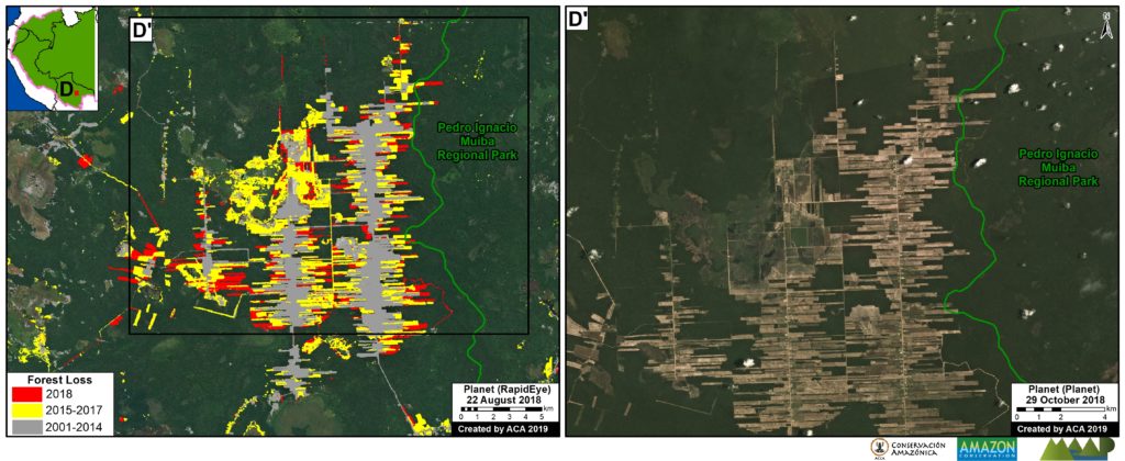 Zoom D. Bolivia, Black River Mennonite settlement. Data: Hansen/UMD/Google/USGS/NASA, SERNAP, Planet