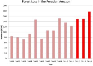 Forest Loss in the Peruvian Amazon