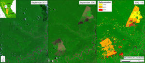 Image 25d. Deforestation for oil palm in central Peru between September 2011 (left panel) and September 2013 (center panel) and cumulative 2012-14 (right panel). Data: USGS, PNCB/MINAM, Hansen/UMD/Google/USGS/NASA