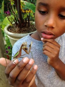 Carter Cohen with mantis