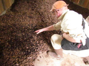 Board member Steve Voorhees examining Brazil nuts drying in a new payole