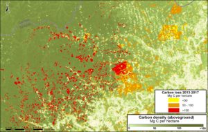 Image A. Central Peruvian Amazon. Data: Asner et al 2014, MINAM/PNCB