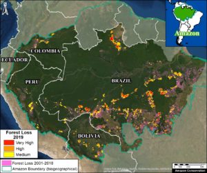 Base Map. Amazon Deforestation, 2001-2019. Data: UMD/GLAD, Hansen/UMD/Google/USGS/NASA, MAAP